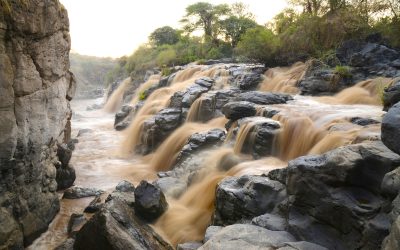 Eastern Ethiopia Tours to Awash National Park & Harar 4 Days